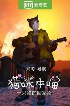 猫咪本喵之猫猫流浪记