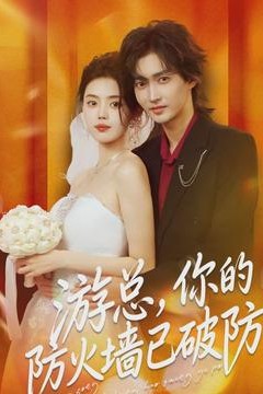 游总，你的防火墙已破防