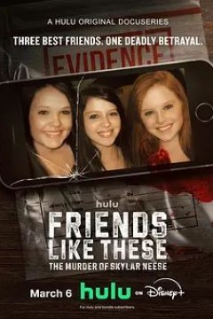 像他们这样的朋友斯凯拉·尼斯的谋杀案