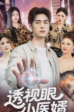透视眼小医婿