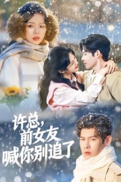 许总，前女友喊你别追了
