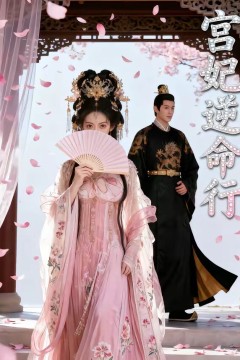 宫妃逆命行