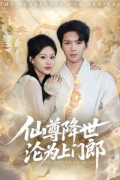 仙尊降世沦为上门郎