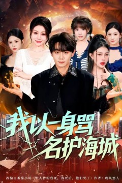 我以一身骂名护海城