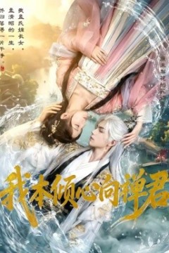 我本倾心向禅君