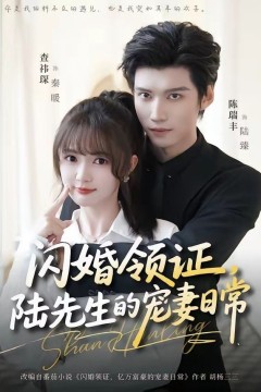 闪婚领证，陆先生的宠妻日常
