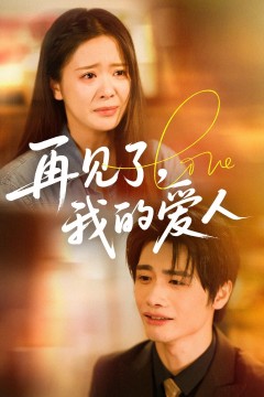 再见了我的爱人