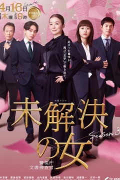 未解决之女警视厅文件搜查官第三季