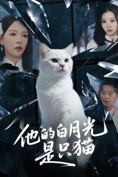 他的白月光是只猫