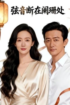弦音断在阑珊处