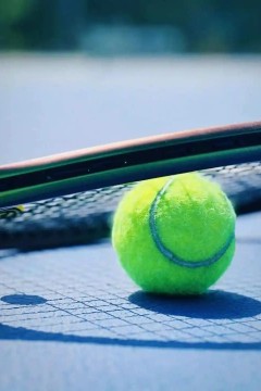 WTA马德里站女单四分之一决赛：萨巴伦卡VS巴普蒂斯特