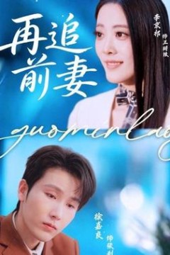 再追前妻
