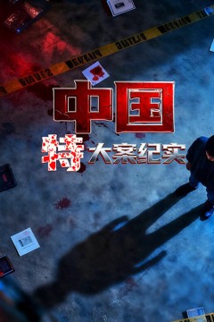 中国特大案纪实