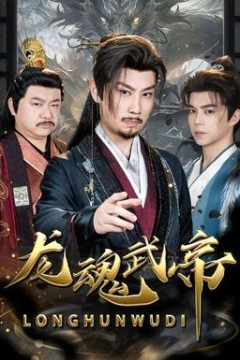 龙魂武帝