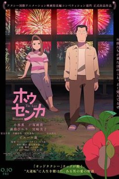 凤仙花2025